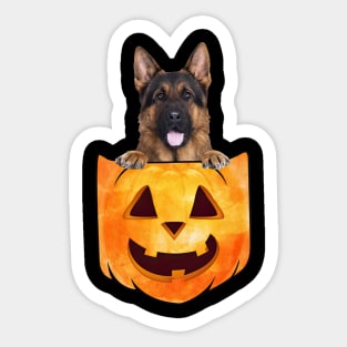 Long Haired German Shepherd In Pumpkin Pocket Halloween Sticker